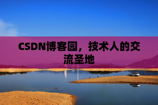 CSDN博客园，技术人的交流圣地